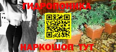 ПСИЛОЦИБИНОВЫЕ ГРИБЫ Новодвинск
