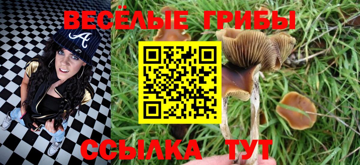Псилоцибиновые грибы мицелий Пыть-Ях