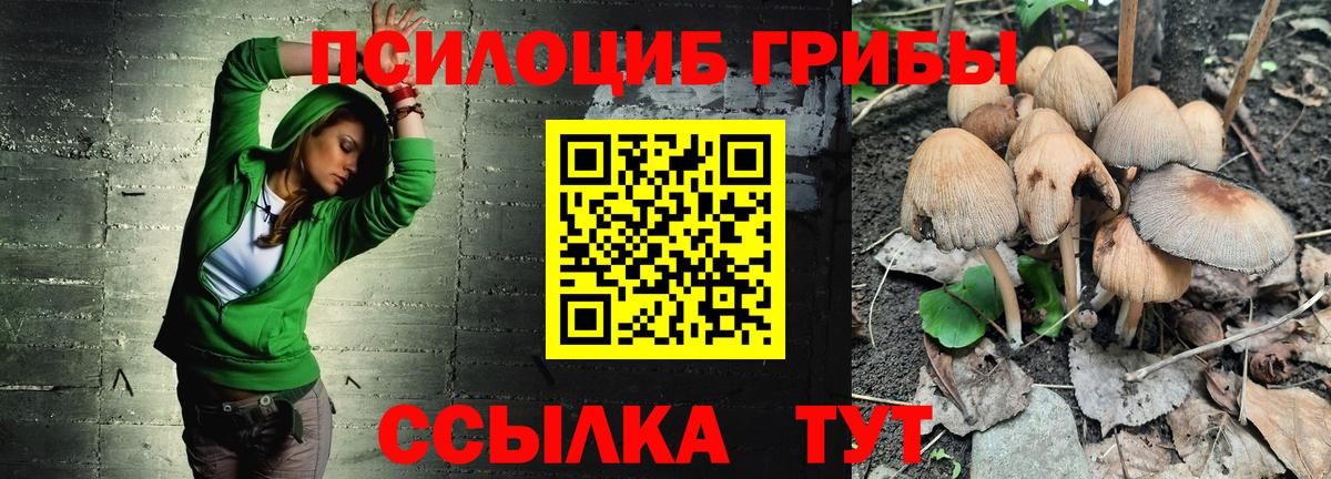 Галлюциногенные грибы MAGIC MUSHROOMS  Вход с VPN  Пыть-Ях 